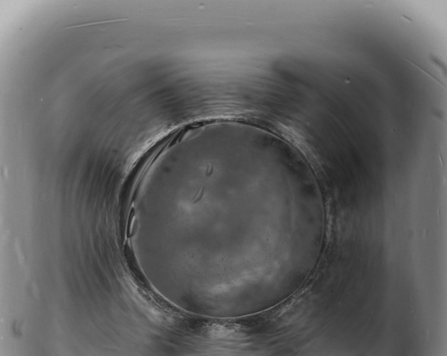 X0000103250346200809041114