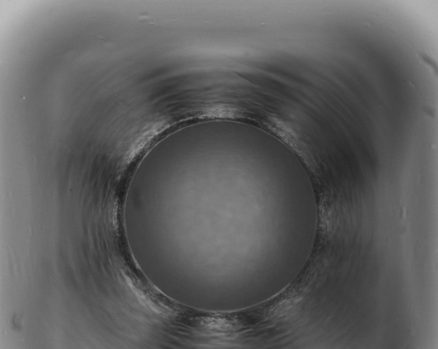 X0000103250347200809041114