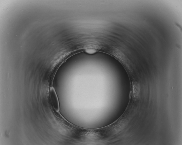 X0000103250348200809041114