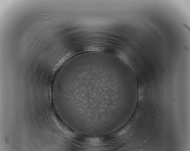 X0000103250349200809041114