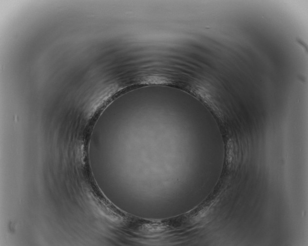 X0000103250351200809041114