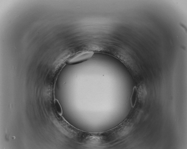 X0000103250352200809041114