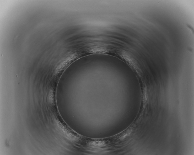 X0000103250353200809041114