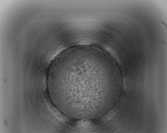 X0000103250354200809041114