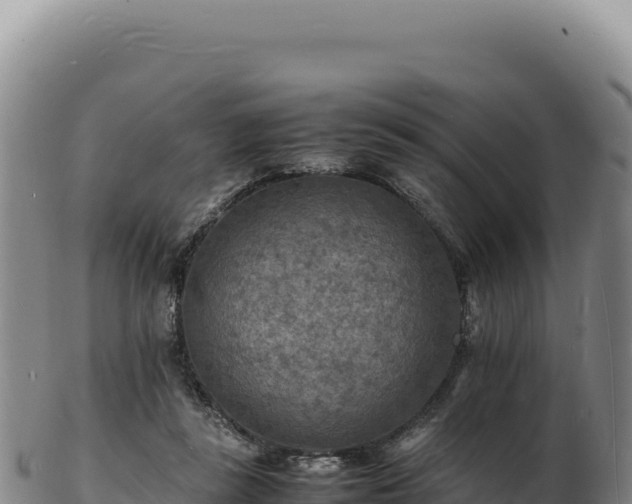 X0000103250355200809041114