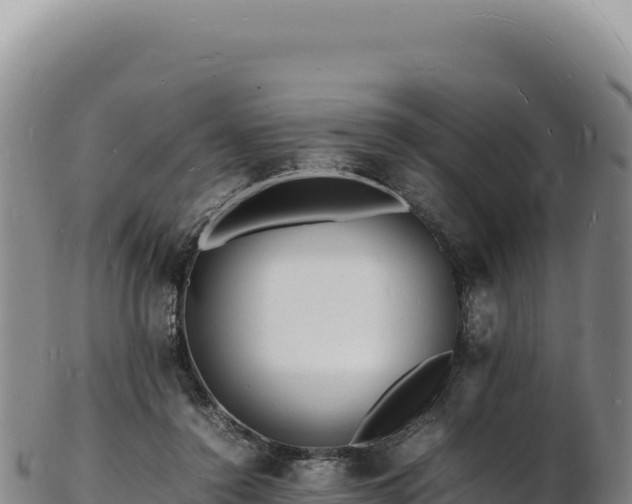 X0000103250356200809041114