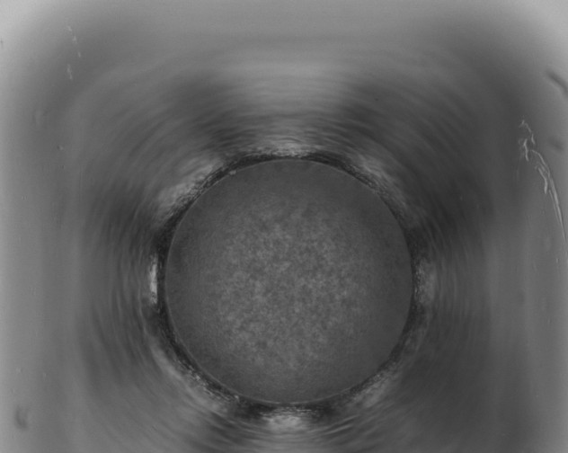 X0000103250358200809041114