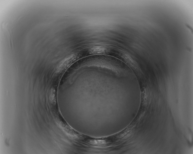 X0000103250361200809041114