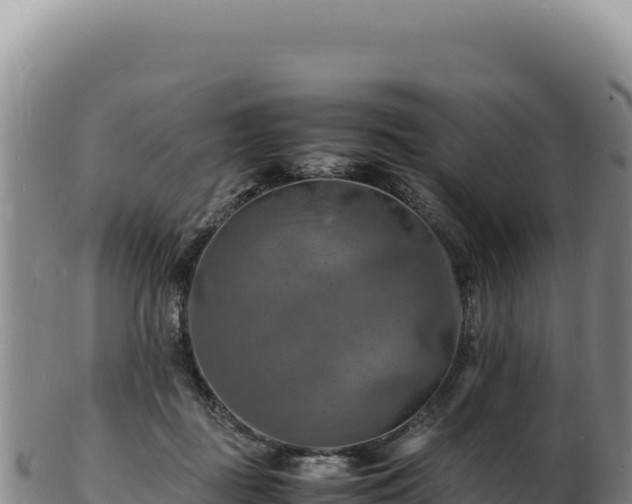 X0000103250363200809041114