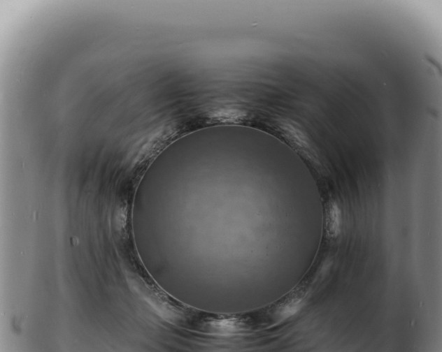 X0000103250365200809041114