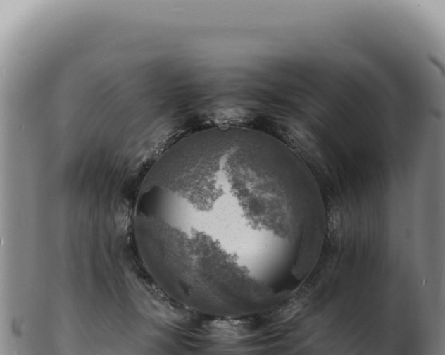 X0000103250367200809041114