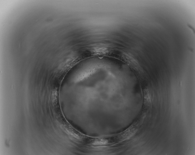 X0000103250369200809041114
