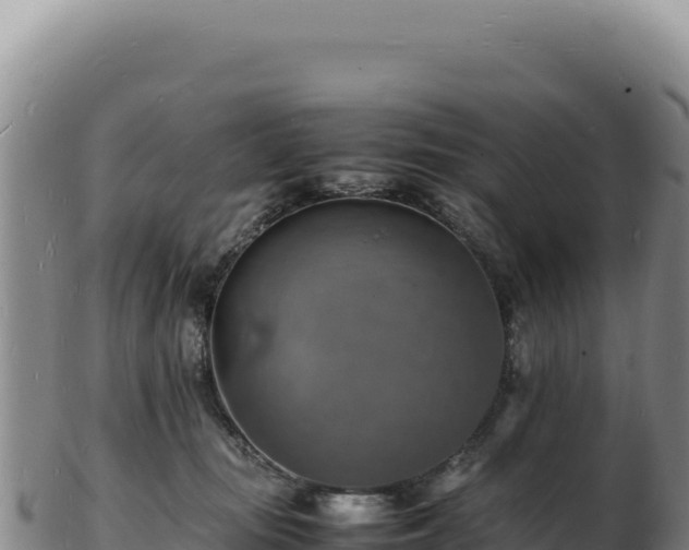 X0000103250371200809041114