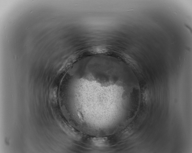 X0000103250373200809041114