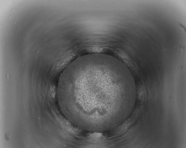X0000103250374200809041114