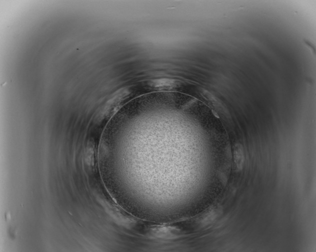 X0000103250379200809041114