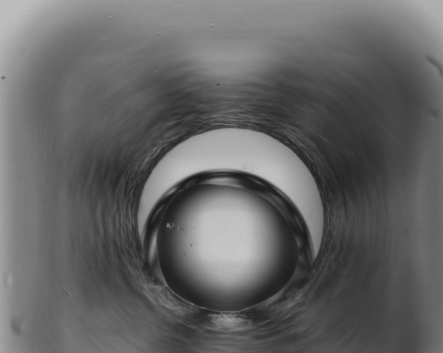 X0000103250380200809041114