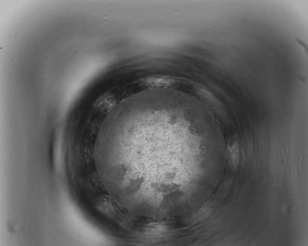 X0000103250381200809041114
