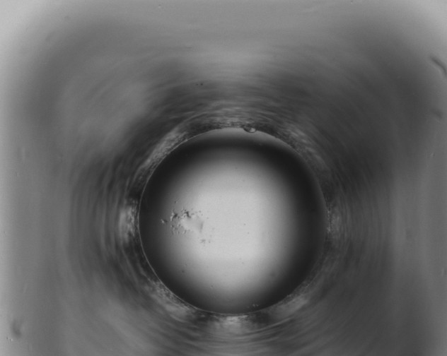 X0000103250382200809041114