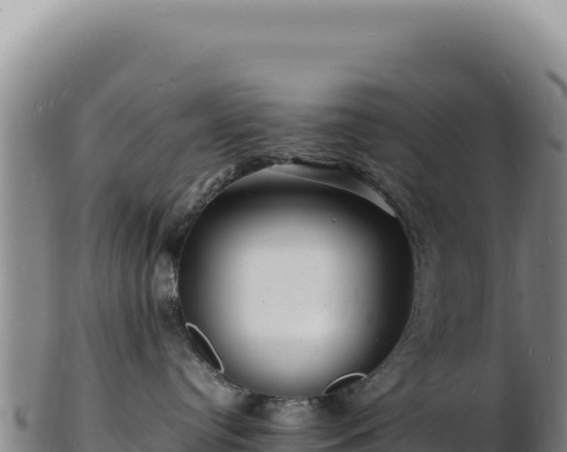 X0000103250384200809041114