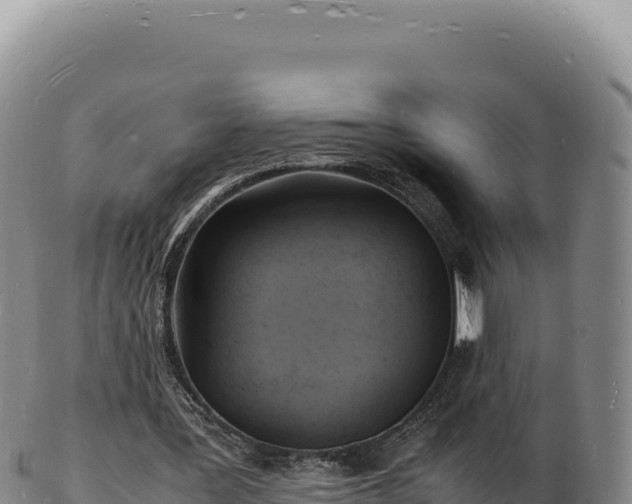X0000103250387200809041114