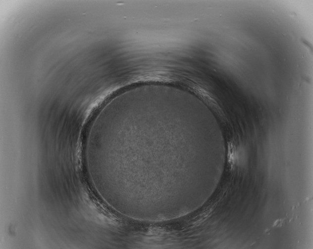 X0000103250388200809041114