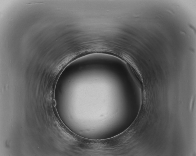 X0000103250389200809041114