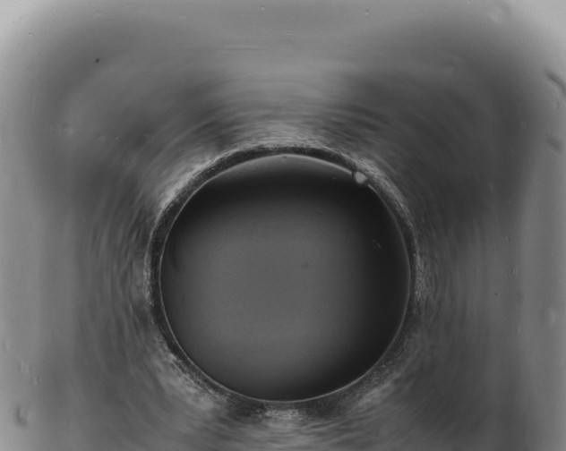 X0000103250391200809041114