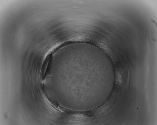 X0000103250392200809041113
