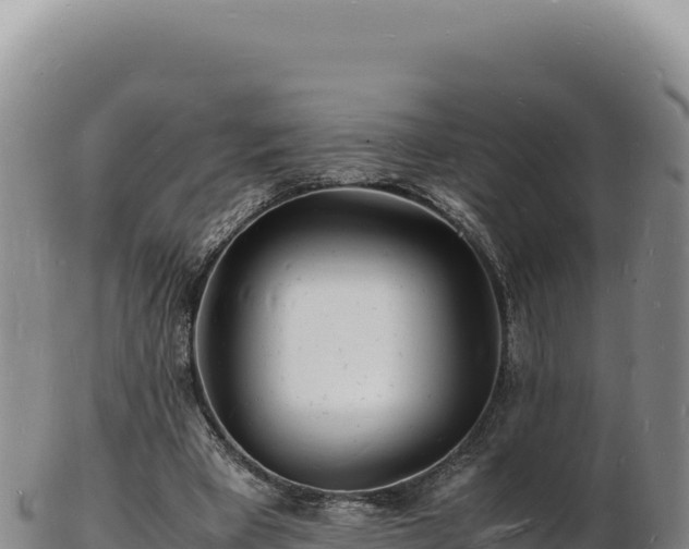 X0000103250393200809041113