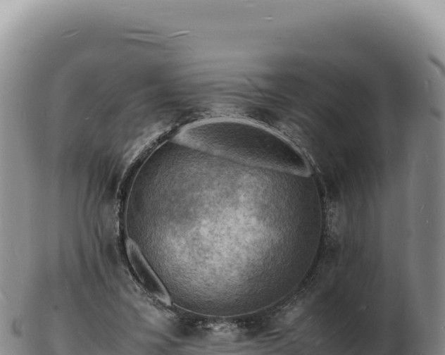 X0000103250395200809041113