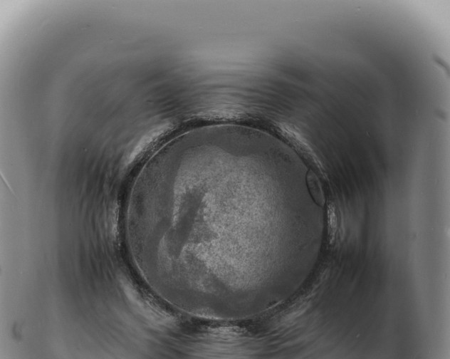 X0000103250396200809041113