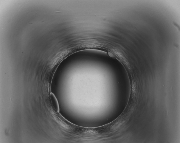X0000103250397200809041113