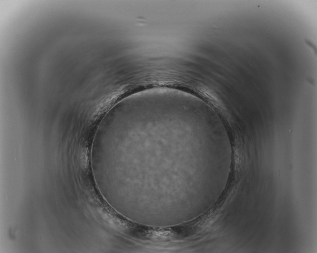 X0000103250401200809041113