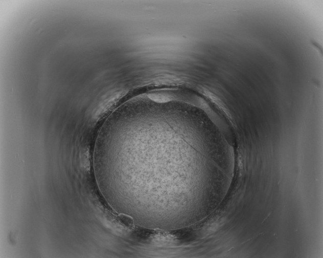 X0000103250403200809041113