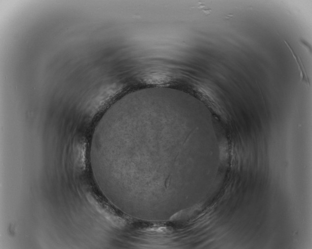 X0000103250404200809041113