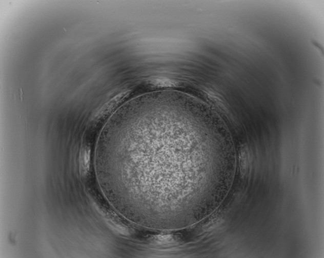 X0000103250406200809041113