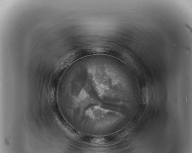 X0000103250410200809041113