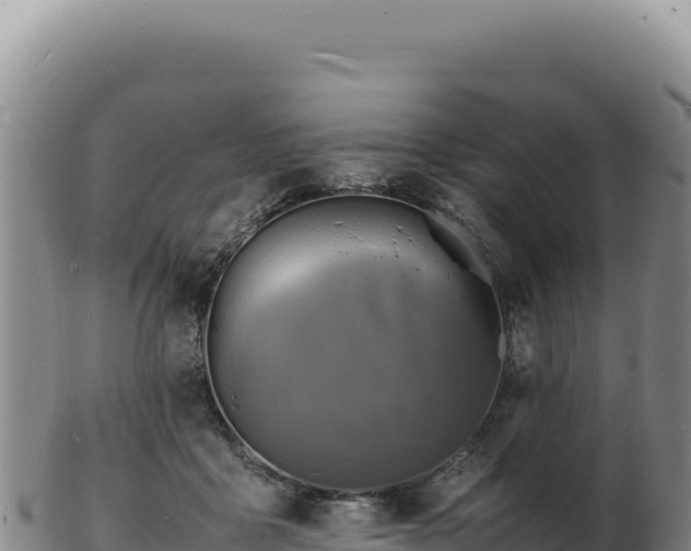 X0000103250411200809041113