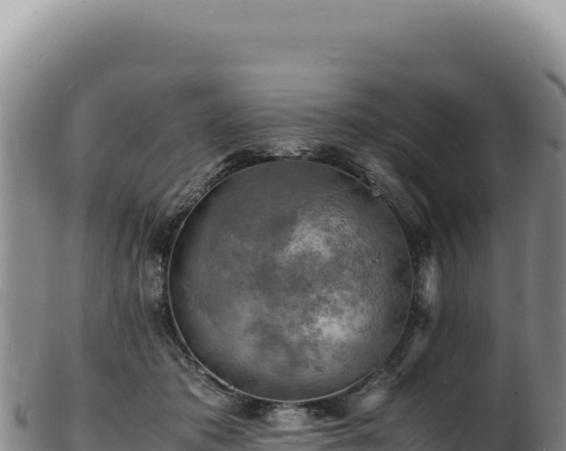 X0000103250413200809041113