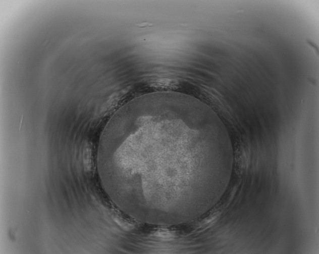 X0000103250416200809041113