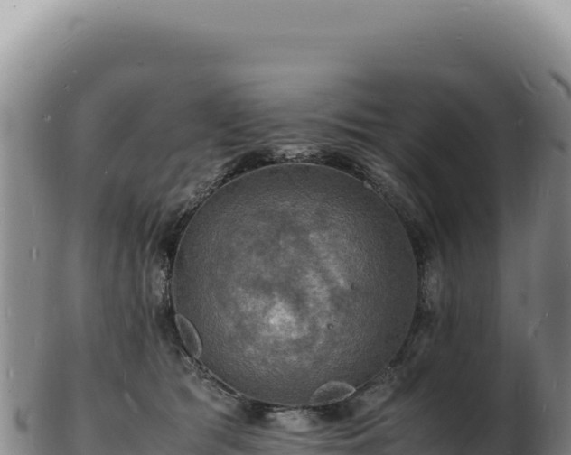 X0000103250417200809041113