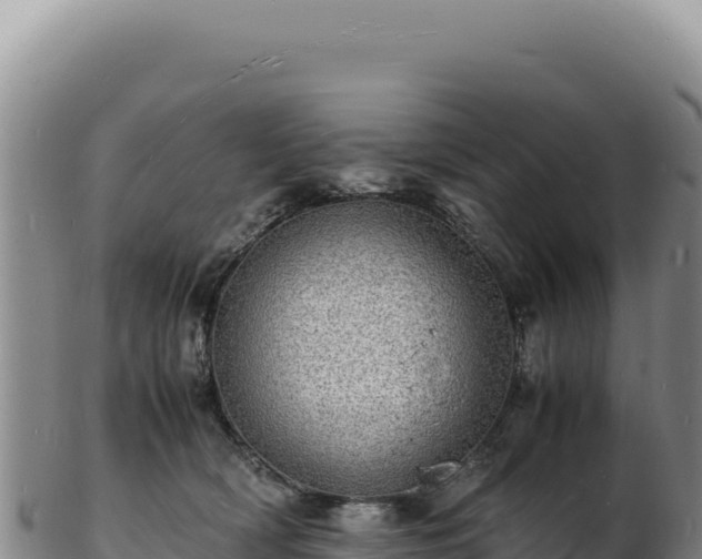 X0000103250418200809041113
