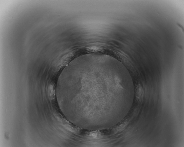 X0000103250420200809041113