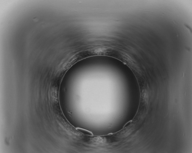 X0000103250421200809041113