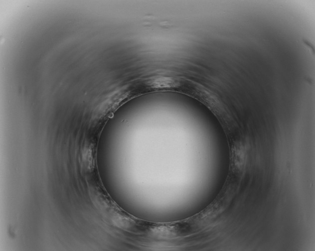 X0000103250422200809041113