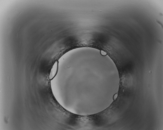 X0000103250423200809041113