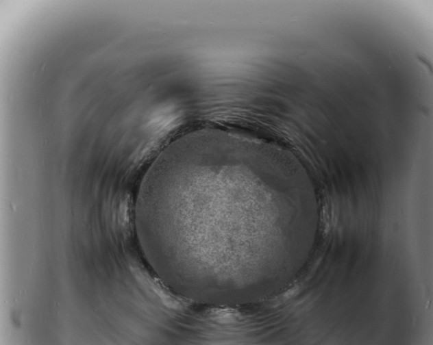 X0000103250424200809041113