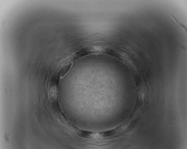 X0000103250425200809041113