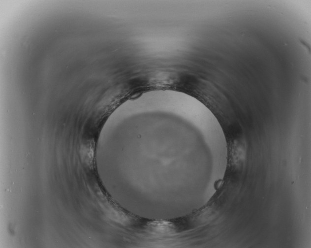 X0000103250427200809041113